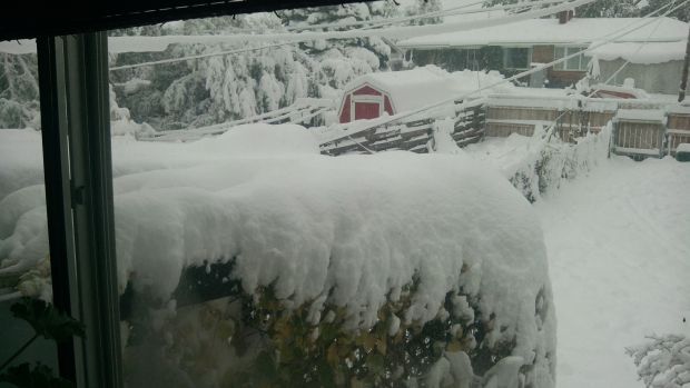 Winter Storm Atlas